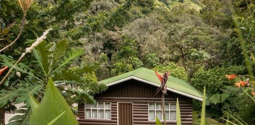 Cabinas El Quetzal