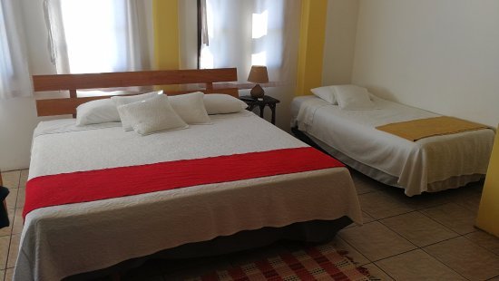 Hospedaje El Bambú