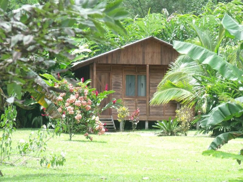 Cabinas En Bijagua