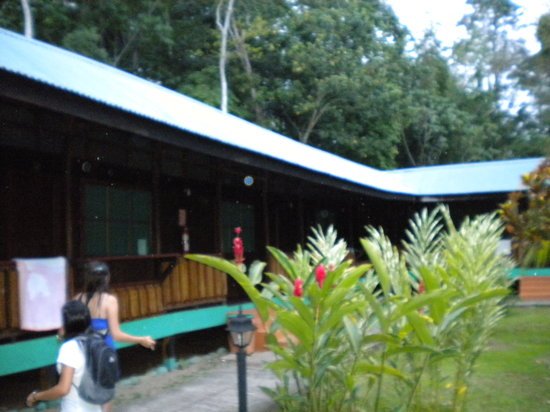 Cabinas En San José O Pizote